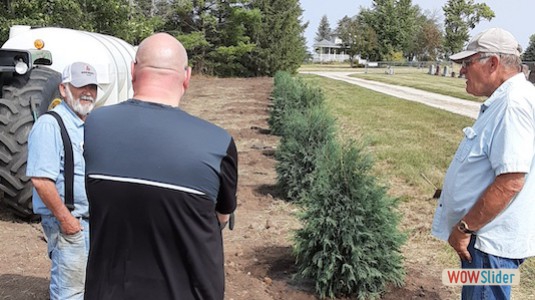 Planting Cemetery Trees